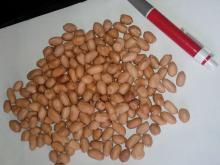 Peanut kernels