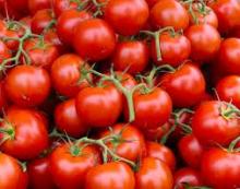 Tomatoes available