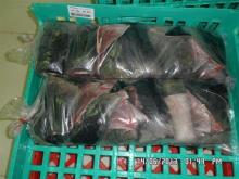 Tuna skin