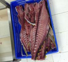 Tuna backbone