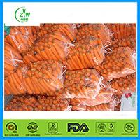 FRESH CARROTS