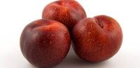 BEST QUALITY FRESH PLUMS