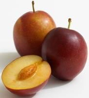 PREMIUM QUALITY PLUM