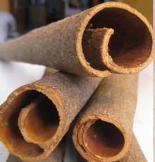 cassia whole