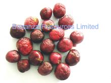 Freeze  Dried  Cherry