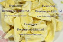 Freeze  Dried   Jackfruit 