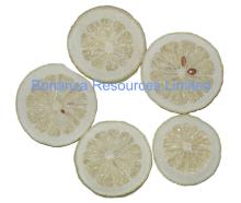  Freeze   Dried   Lemon 