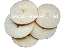 Freeze  Dried   Apple   Chips  Ring