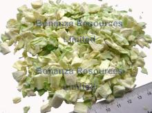 Freeze  Dried  Cabbage
