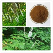 2.5%/5% triterpene glycosides  black   cohosh   extract 