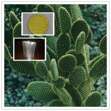 10:1 20:1  cactus   extract 