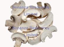Freeze  Dried   Mushroom  slice Lyophilized Vegetable