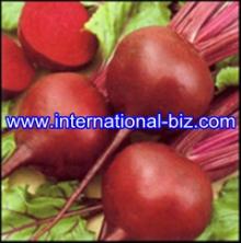 Beet Red