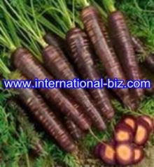  Black   Carrot   Juice  color