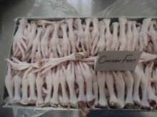 Frozen Chicken Feet