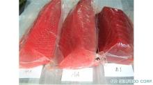 frozen dark meat from mackerel loin