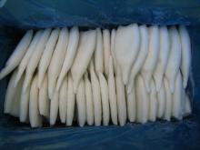 Squid tube