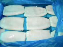 IQF Squid tube