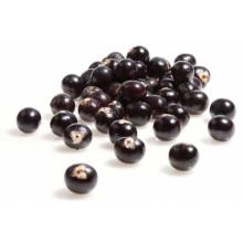  Acai   berry  P.E.