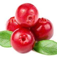 Cranberry P.E.