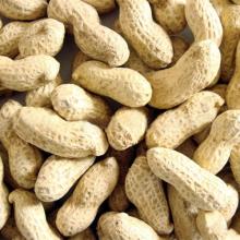 peanut hull P.E.