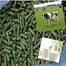 alfalfa hay pellets