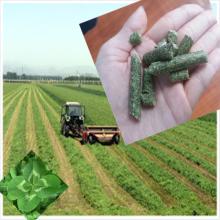 alfalfa pellets with high protein