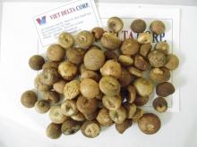 High-quality betel nuts