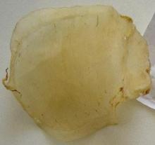 Dried High Quality Datina Fish Maw