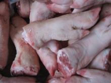 Halal Frozen Pork Feet
