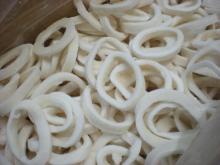  Illex   squid  ring