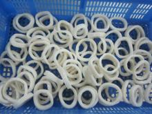IQF blanched squid ring