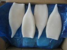 Illex squid tube
