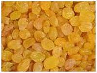 Golden Raisins