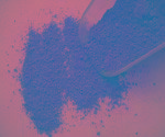  Chocolate s  Powder 
