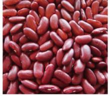 Red Kidney Beans (Rajma)