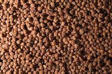 Kala chana