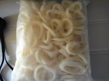 todarodes squid ring