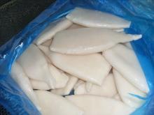IQF squid tube U7 bulk carton