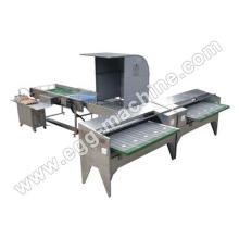  Egg   Grading   Machine 