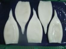  IQF   illex   squid  tube U7