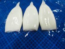 Unfreeze  todarodes   pacificus   squid   tube  U5