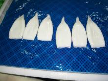 Unfreeze todarodes pacificus squid tube U7