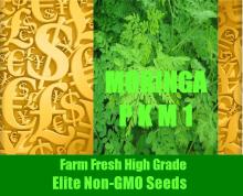  Moringa  Seeds PKM1