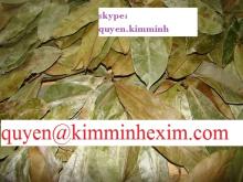 DRIED  SOURSOP  LEAVES