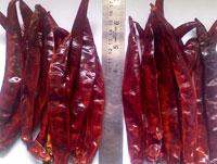 Red  Dry   Chilli  Type Wonder Hot Stemless