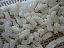 IQF squid carving 3