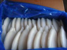 IQF bartrami squid U5 glazing