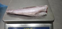  Hake   HGT 