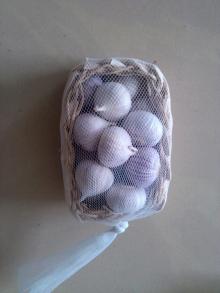 new crop chinese solo garlic